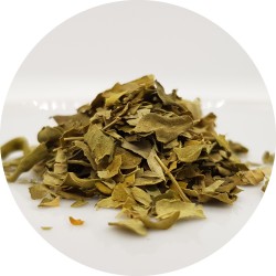 Infusion Moringa Detox -...