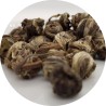 Green tea Jasmine pearls - ORGANIC - Bulk 250g
