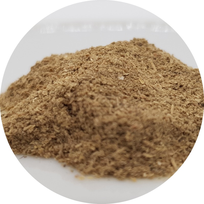 Polvere di Guduchi (Giloy) 250g