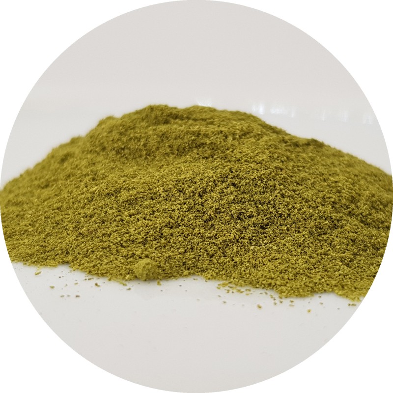 Moringa macinata 100g