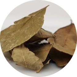 Curry leaves (Kaloupilé) 500g